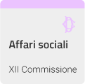 Affari sociali - XII COMMISSIONE (AFFARI SOCIALI)