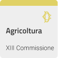 Agricoltura - XIII COMMISSIONE (AGRICOLTURA)