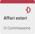 Affari Esteri - III COMMISSIONE (AFFARI ESTERI E COMUNITARI)