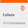 Cultura - VII COMMISSIONE (CULTURA, SCIENZA E ISTRUZIONE)